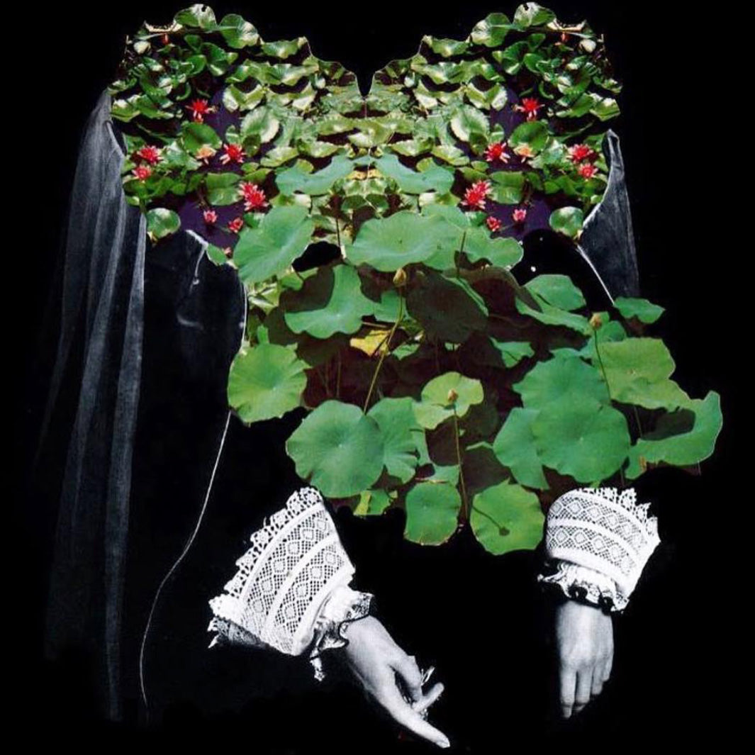 INTERVIEW COLLAGISM – MOCOMOCO